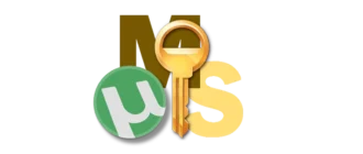 Специальное средство для активации Windows 10