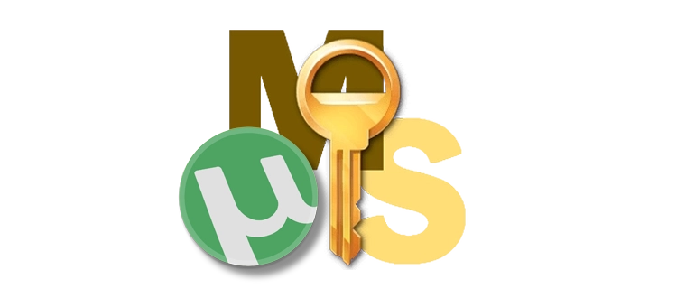 Специальное средство для активации Windows 10