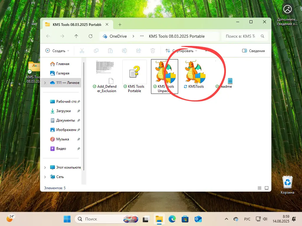 Файл активатора KMSTools